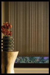 Hunter_Douglas_Alustra_Screen_Shades_in_Denver.jpg